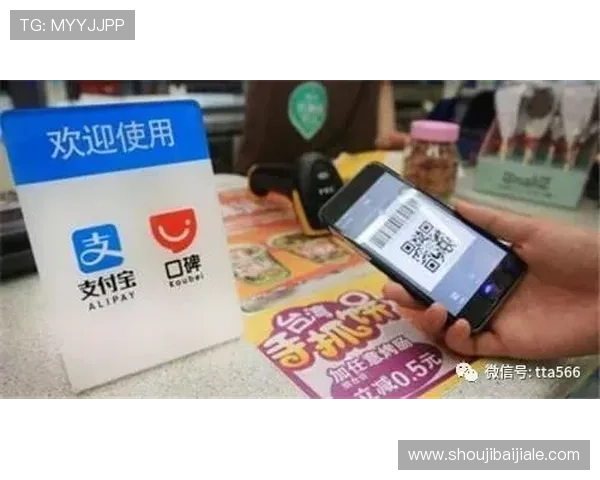 博鱼百家乐安全支付方式全方位保障玩家资金安全